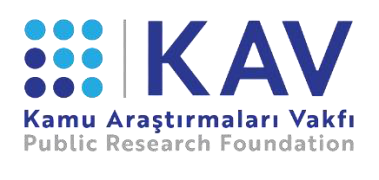 Kamu Araştırmaları Vakfı (KAV) web sitesi